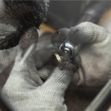 Polishing